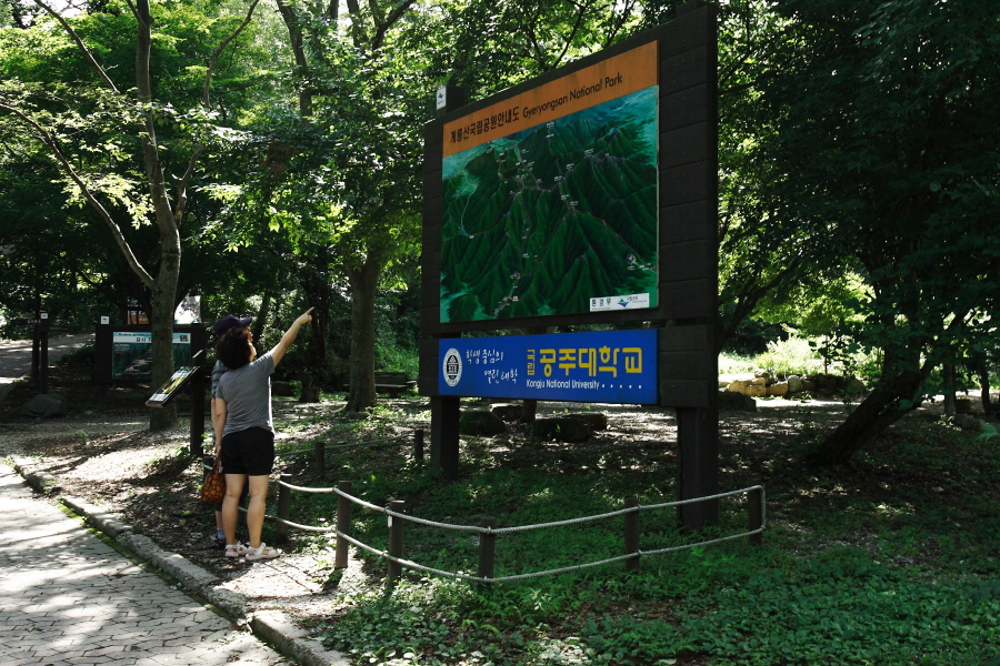 계룡산 최고 황금코스2 갑사에서 신원사까지