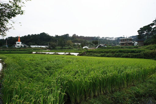 산골의 향기 물씬 예하지마을