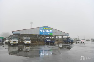 2023년 1월 13일 새해 가축시장 방문