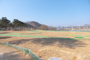 2024년 3월 21일 금강웅진공원 파크골프장 증설사업 준공식 [웅진공원파크골프장]