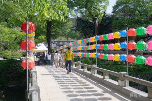 2024년 5월 15일 불기2568년 부처님오신날 마곡사 봉축법요식 [마곡사]
