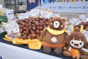 2025년 1월 7일 고맛나루 알밤 미국 H-마트 수출 선적식 [사곡농협]