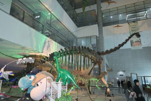 2024년 11월 30일 한국자연사박물관 개관 20주년 기념식 [한국자연사박물관]