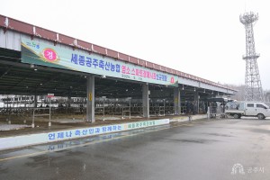 2025년 3월 18일 현장방문-세종공주축협 염소가축시장 개장 [공주시가축시장]