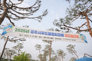 2025년 5월 31일 제24회 우드볼협회장배 우드볼대회 [공주시 우드볼 경기장]