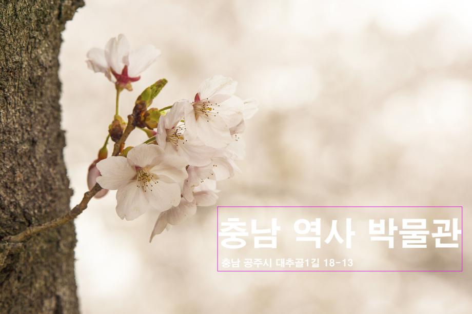공주시 충남역사박물관 이미지