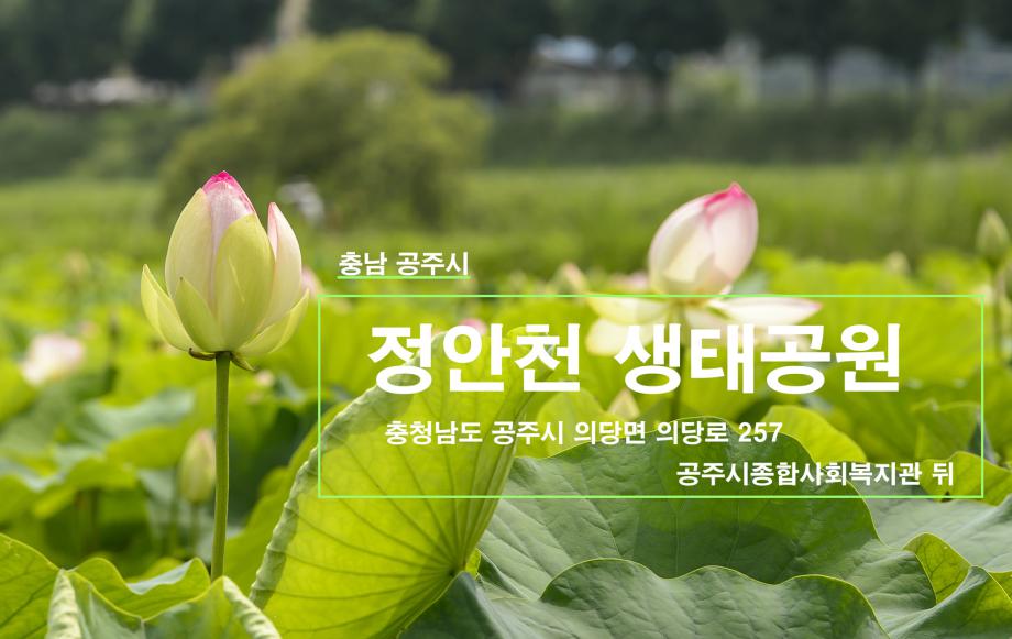 공주시 정안천 생태공원 이미지
